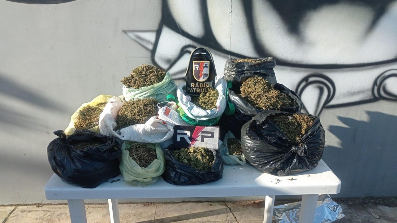 Polícia Militar apreende 21 quilos de maconha após denúncia em Arapiraca