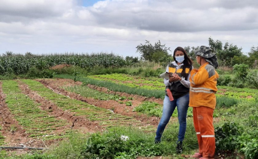 Dia do engenheiro agrônomo: profissional da Emater explica a importância da ATER para agricultores familiares