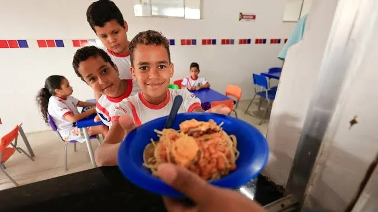 Creches com alimentação sem ultraprocessados em SP; confira