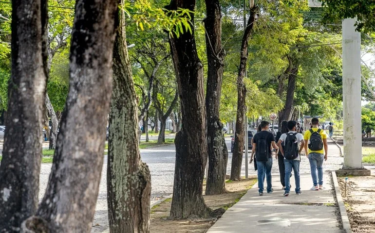 Ufal aprova Política Ambiental com diretrizes de sustentabilidade nos campi