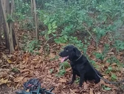 WhatsApp Image 2026-03-19 at 19.44.08 (3).jpeg 