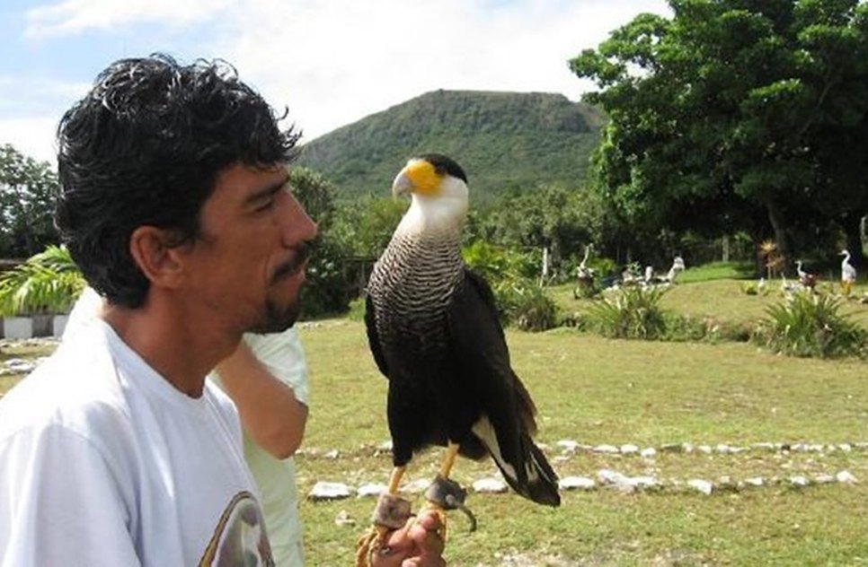 PARQUE DOS FALCÕES / Foto: INTERNET
