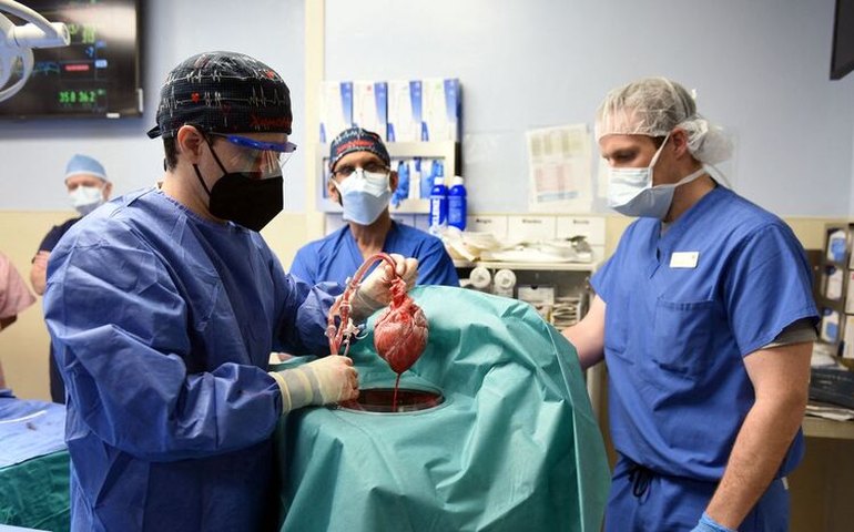 Homem se recupera após transplante com coração de porco