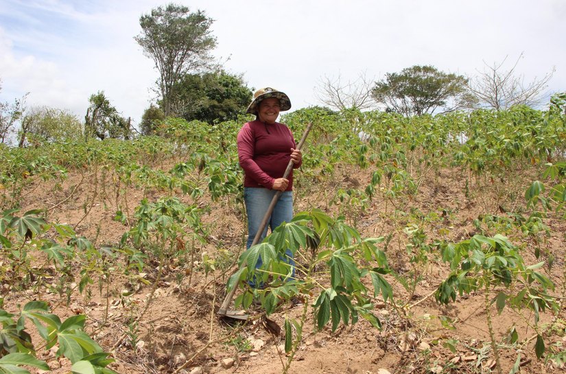 Mais de 20 mil agricultores alagoanos vão receber Garantia-Safra neste mês de março