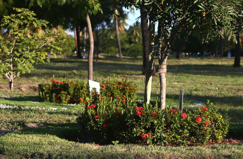 Primavera marca chegada de temperaturas mais elevadas e estiagem em Sergipe, diz meteorologia