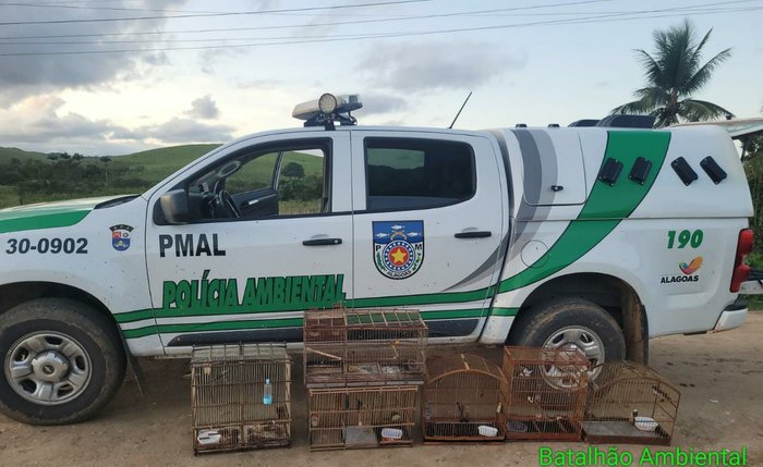 Polícia Ambiental realiza apreensões