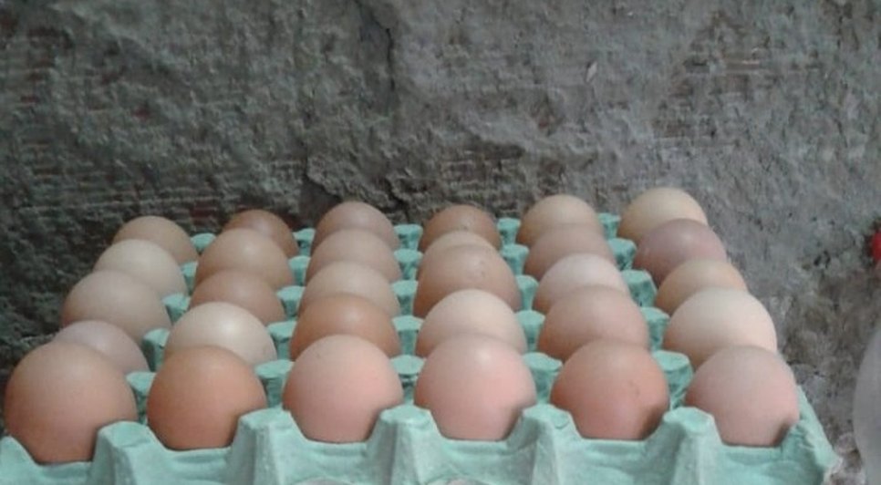 OVOS