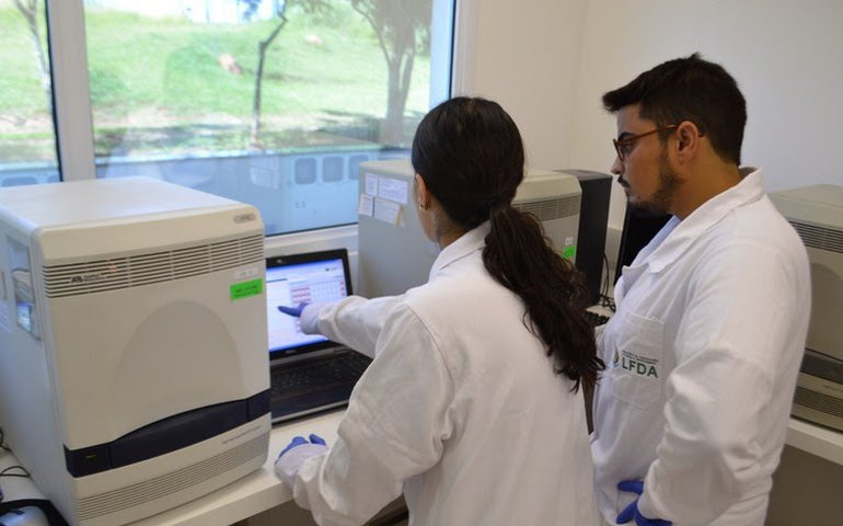 Com mais de 40 mil amostras analisadas, Brasil segue livre de influenza aviária