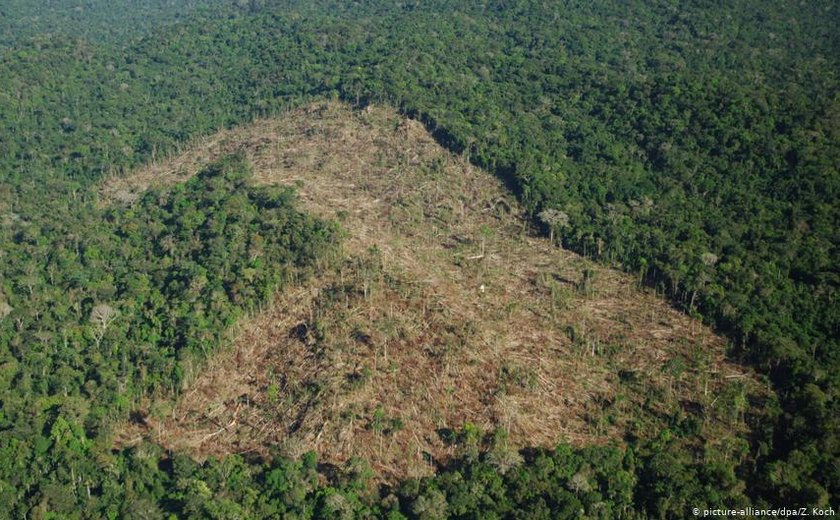 Desmatamento na Amazônia cresce 104% em novembro