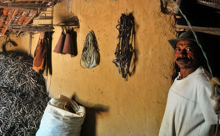 Comunidades quilombolas são reconhecidas pela Fundação Palmares