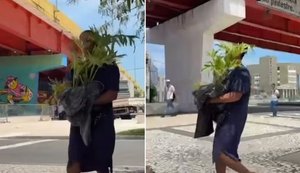 Identificada como Márcia, ela afirmou que recebeu a planta de uma pessoa que trabalhava no local. / Foto: Reprodução 