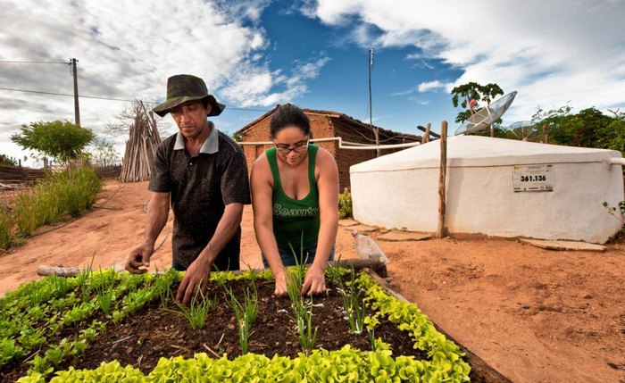 No estado, 27.163 agricultores familiares aderiram ao programa e devem receber o seguro no valor de R$ 1,2 mil