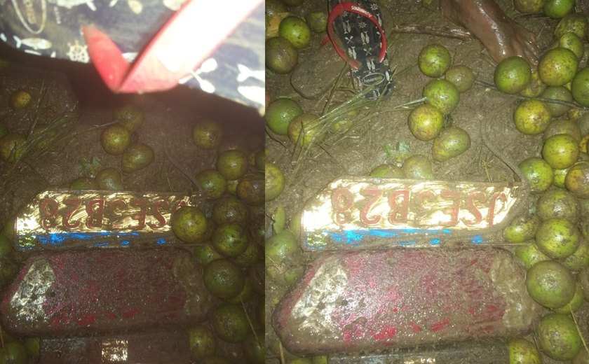 Motorista morre após ser arremessado de caminhão durante acidente na BR-101, em Alagoas