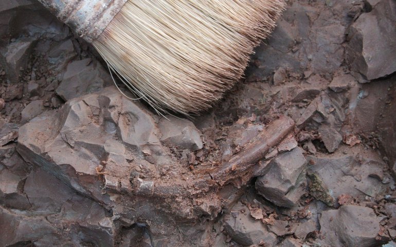 Arqueólogos encontram raro tesouro metalúrgico da Idade do Bronze no Reino Unido (FOTOS)