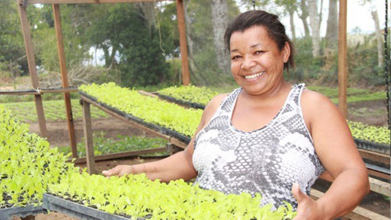 Agricultura familiar é fortalecida através de cooperativas