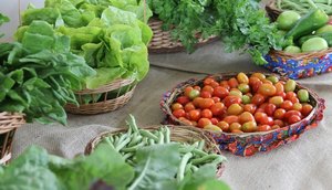 ALIMENTOS ASN