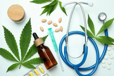 Justiça de Alagoas  autoriza farmácia de manipulação a vender cannabis medicinal em Arapiraca