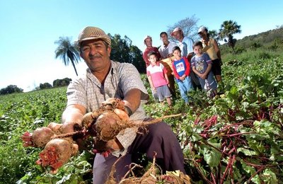 Planejamento lança estudos que auxiliam políticas públicas no Estado