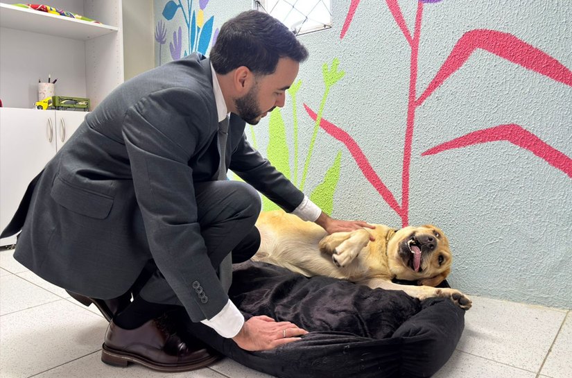 Cão de apoio emocional ajuda crianças vítimas de violência na Justiça alagoana