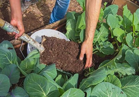 Ecoforte está com inscrições prorrogadas até 7 de outubro