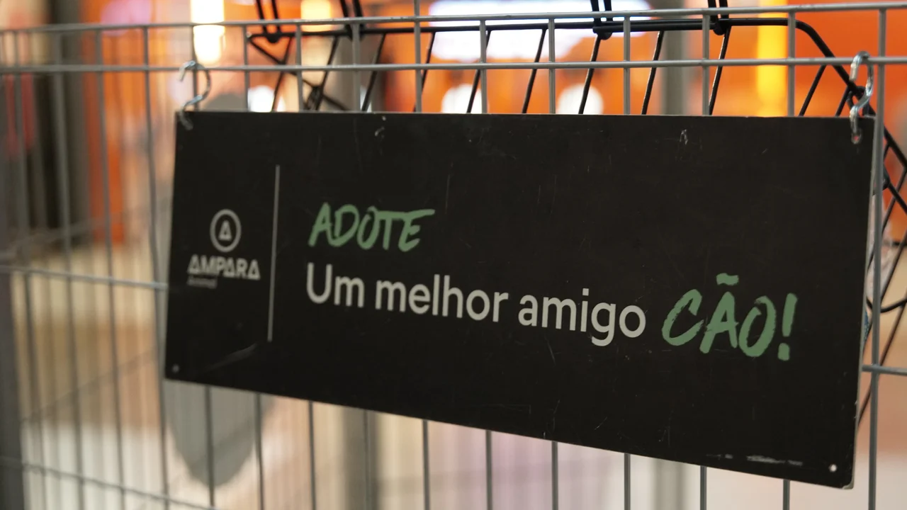 Sam's Club Maceió recebe campanha de adoção responsável de cães e gatos