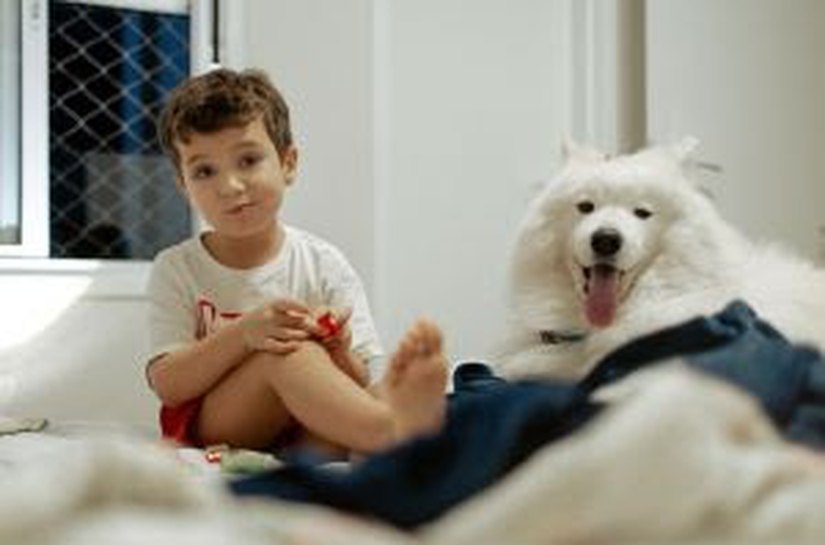 Entre viagens e brincadeiras: o que muda para os pets durante as férias escolares
