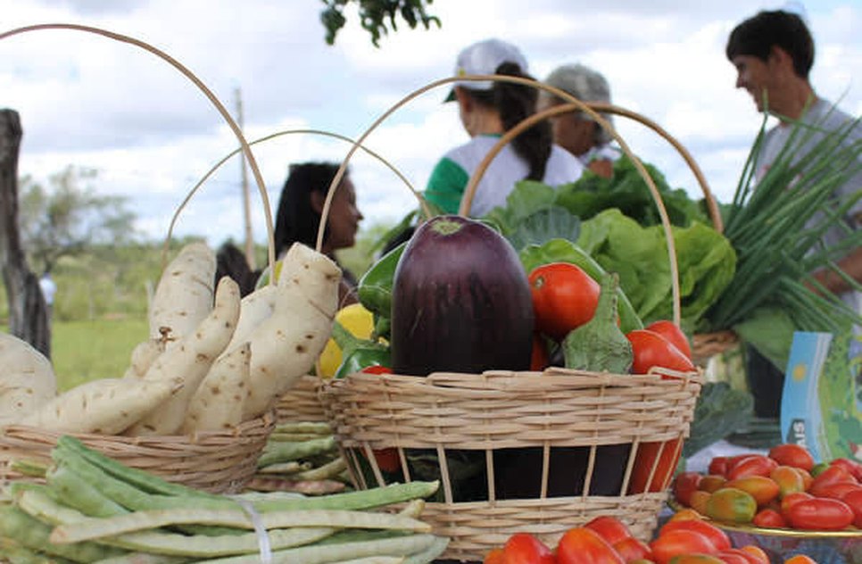 AGRICULTURA FAMILIAR ALIMENTAÇÃO COMIDA / Foto: Agência de Notícias Sergipe