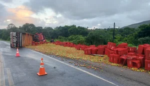 Caminhão tomba e carga é saqueada por populares na BR-235