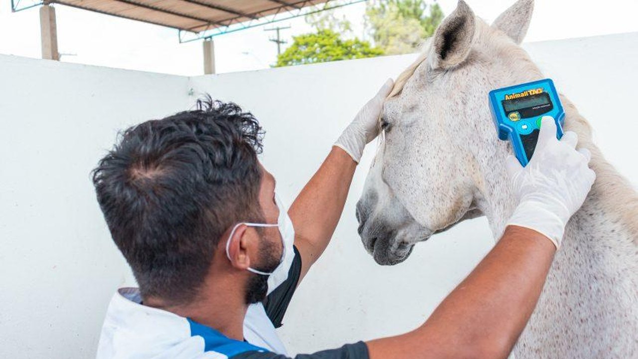 Centro de Zoonoses atua na prevenção de doenças transmitidas por animais