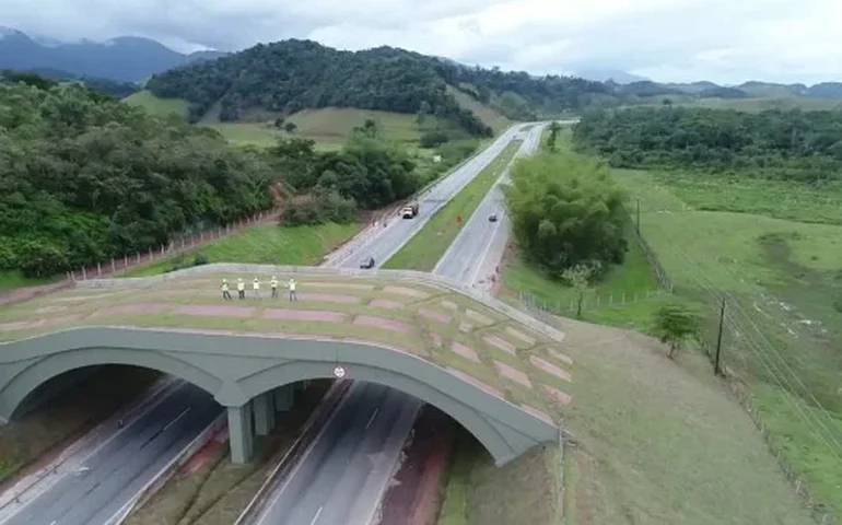 Arteris mantém operação da Autopista Fluminense após leilão sem concorrência