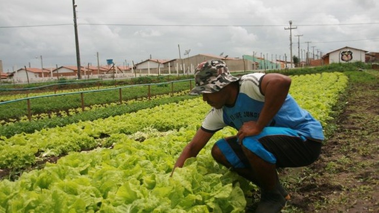 Ações da Seagri contribuem com o desenvolvimento rural em Alagoas