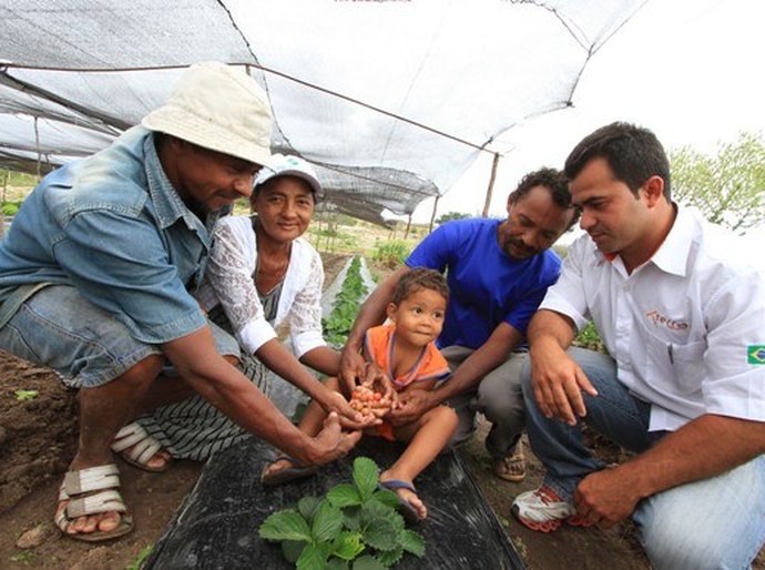 Governador institui Semana Estadual da Agricultura Familiar em Alagoas