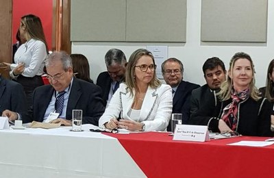 Reunião do Conselho de Presidentes dos TCs reafirma importância do controle externo para a democracia 