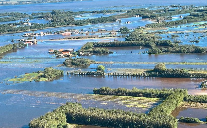 MP libera R$ 1,97 bilhão para crédito ao setor agropecuário gaúcho