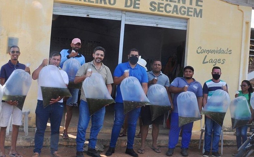 Prefeitura de Piranhas distribui alevinos para produtores da agricultura familiar