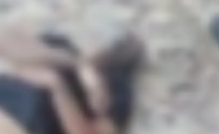 Após a retirada do corpo, a equipe deixou a vítima sob os cuidados do filho Após a retirada do corpo, a equipe deixou a vítima sob os cuidados do filho