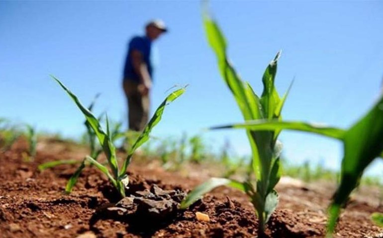 Governo do Estado alerta para produtores aderirem ao Cadastro Ambiental Rural
