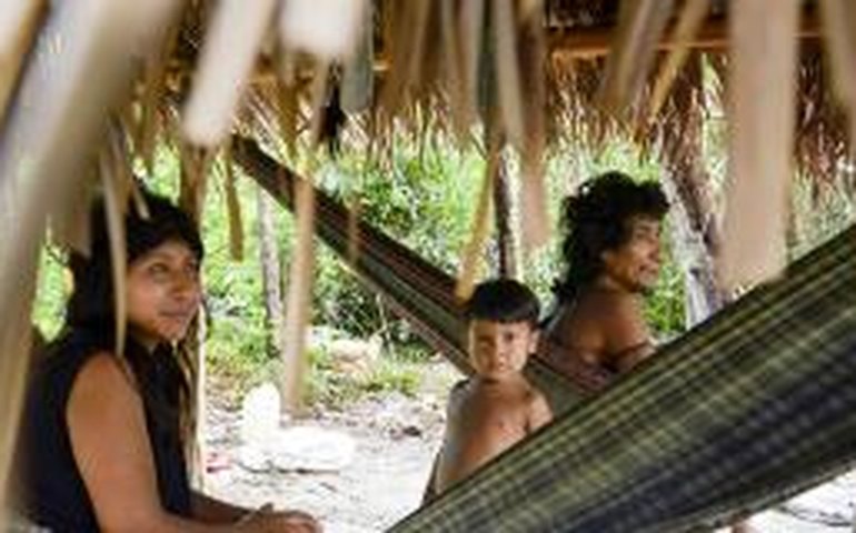 Awá-guajás estabelecem contato com índios isolados de reserva maranhens
