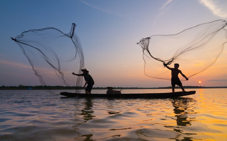 Milagre da multiplicação de peixes pode ter explicação científica, aponta estudo