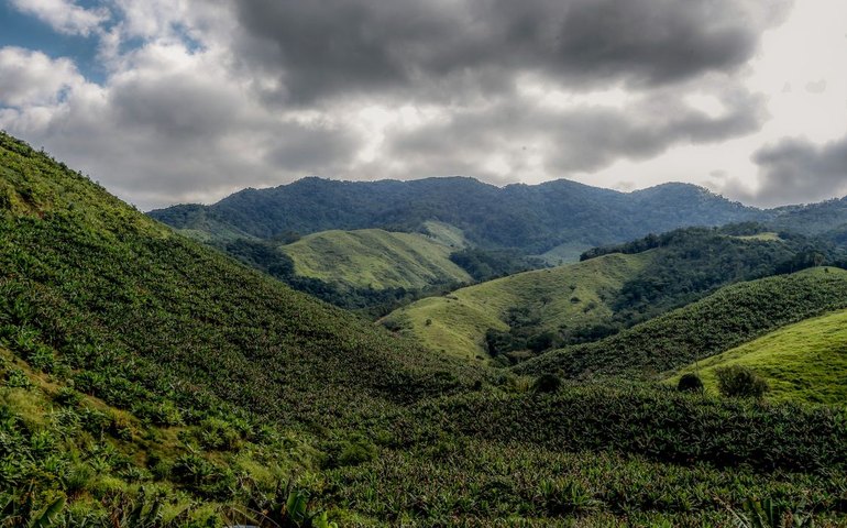 Operação contra o desmatamento da Mata Atlântica começa em 17 estados