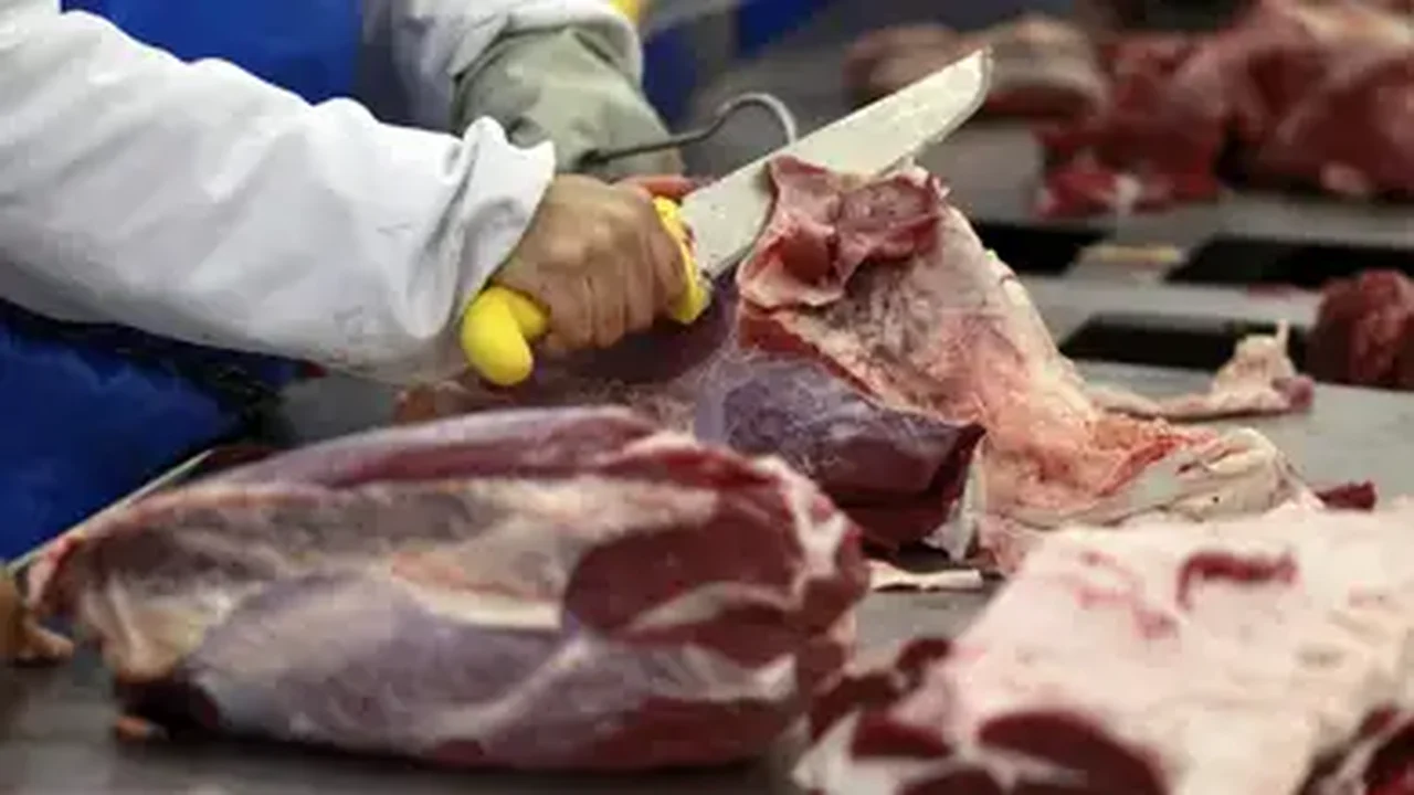 São Vicente e Granadinos abrem mercado para carne e miúdos bovinos do Brasil