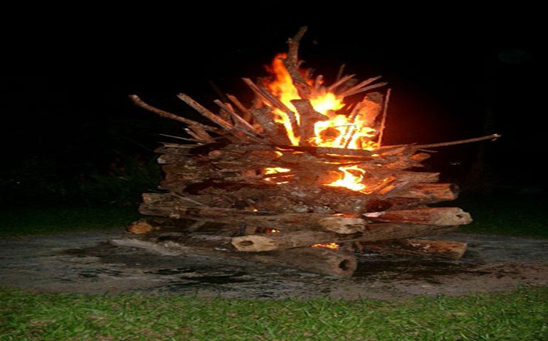 Árvores nativas não podem ser cortadas para fazer fogueiras juninas