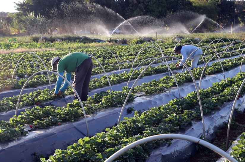 FNE 2026 fortalece agricultura familiar, microcrédito e economia criativa no Nordeste