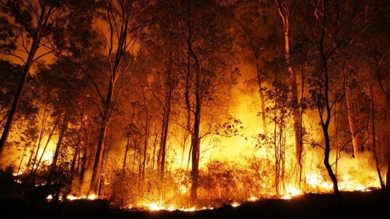 Incêndio na Grécia já é considerado o maior da União Europeia