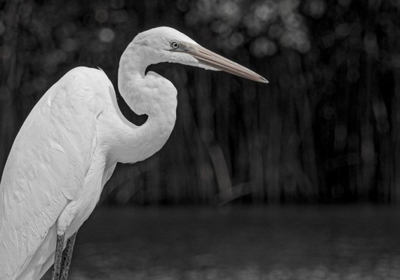 Em Marechal Deodoro (AL), mostra fotográfica apresenta diversidade socioambiental brasileira 