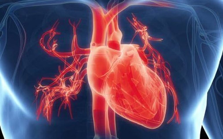 Programa Alagoano de tratamento do infarto ganha reconhecimento nacional