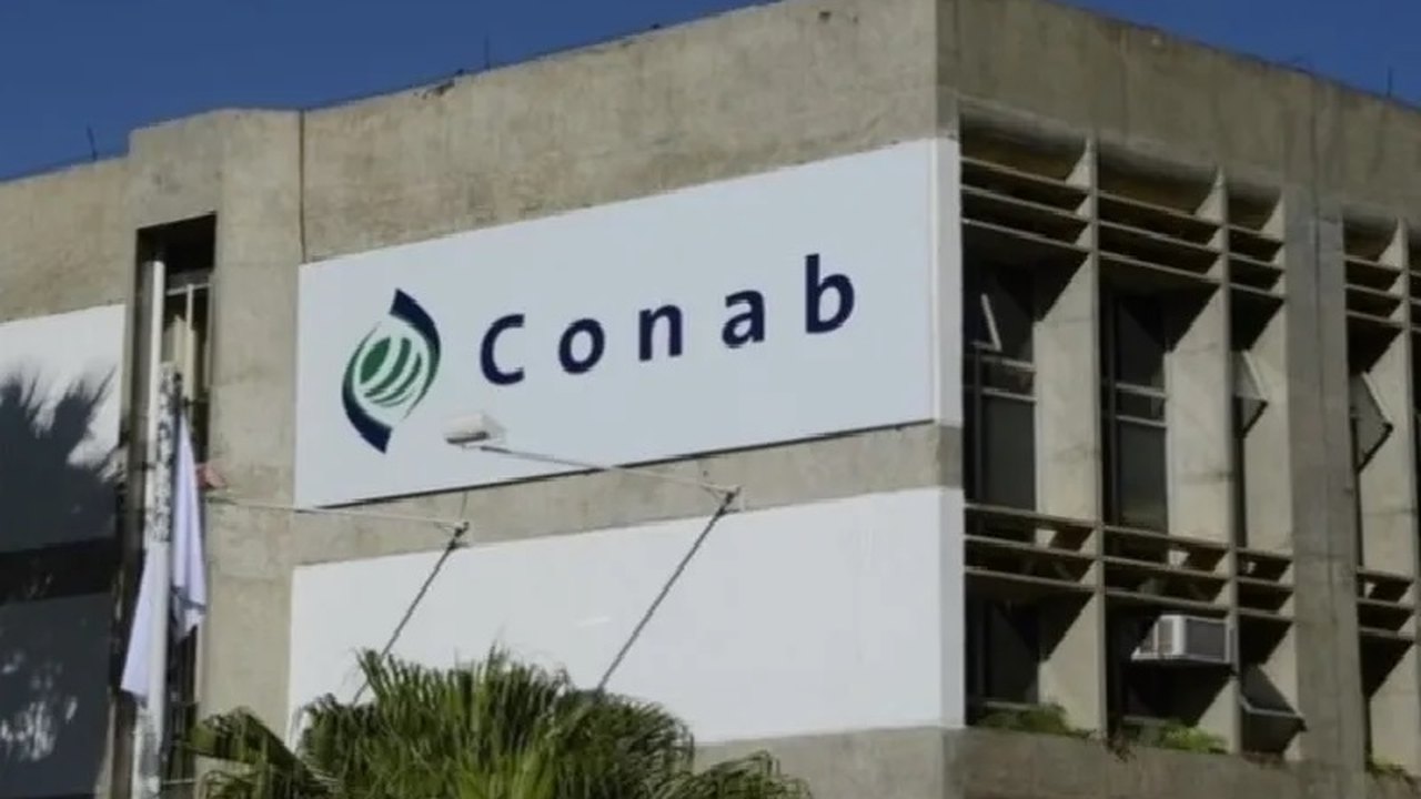 Tomate é destaque de alta de preço no atacado em abril, diz Conab; cebola tem queda
