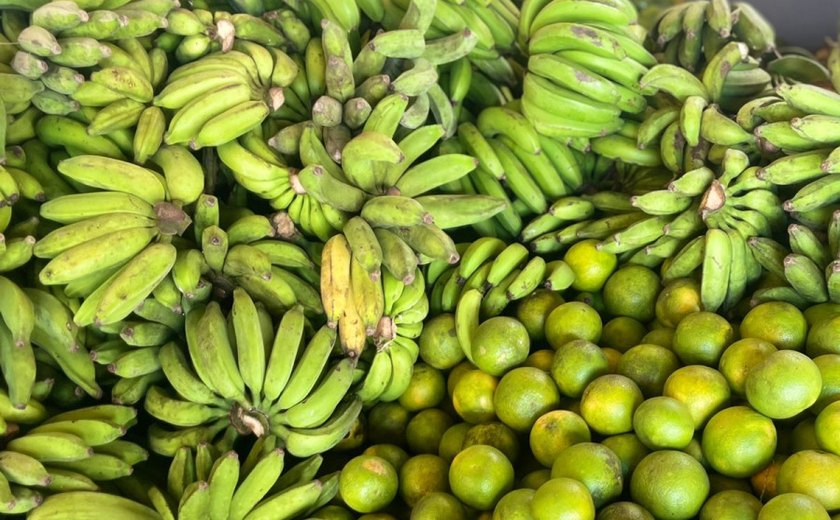 Engenheiro agrônomo da Emater dá dicas de como economizar na hora da feira