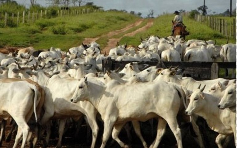 Produtores argentinos marcam paralisação contra suspensão de exportação de carne
