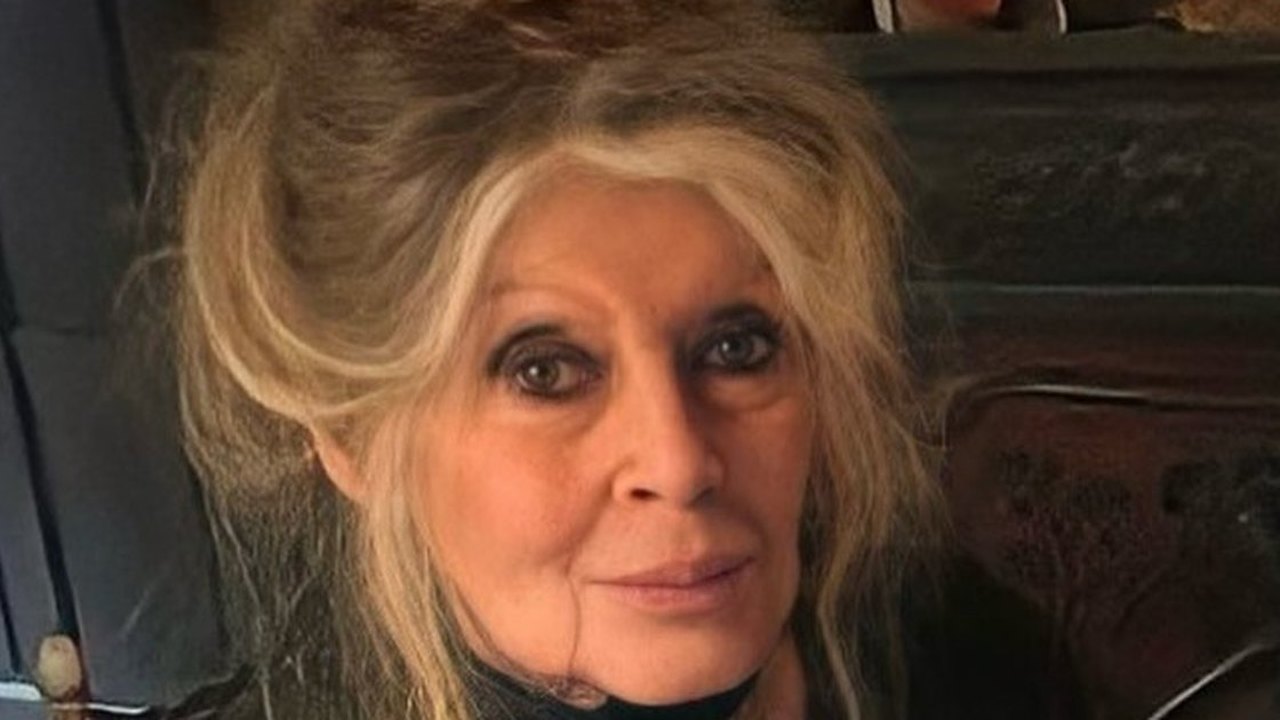 Das polêmicas ao ativismo: quem é Brigitte Bardot, estrela do cinema internada em estado grave